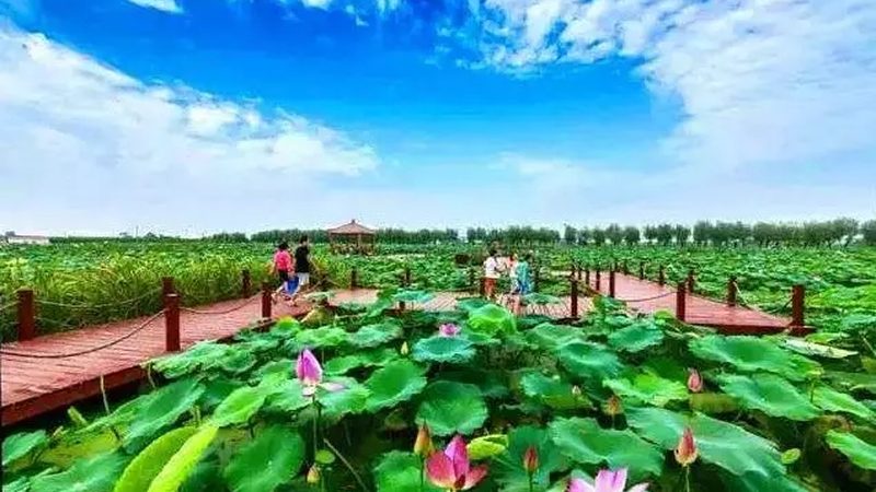 产地直供与厂家直供，农业供应链的两条岔路