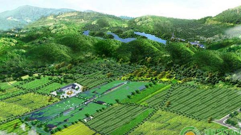 大棚水果种植成本预算表