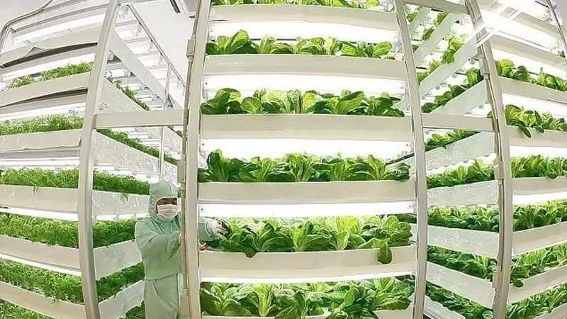 山东农业种植技术公司定制方案：因地制宜，精准提升亩产效益