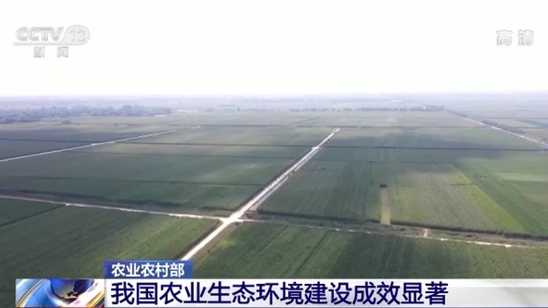 无土栽培，开启现代农业新篇章