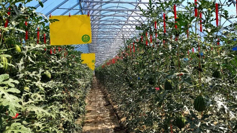 农民专业合作社税收优惠常见问题解答