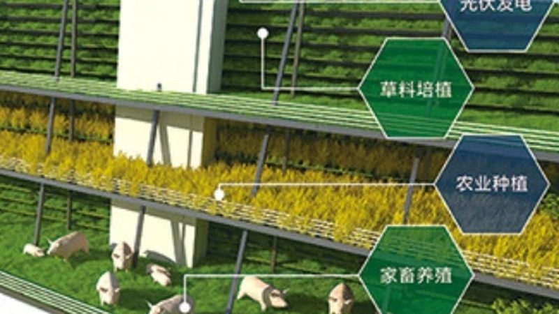 反季节水果的奇妙之旅：与普通种植有何不同