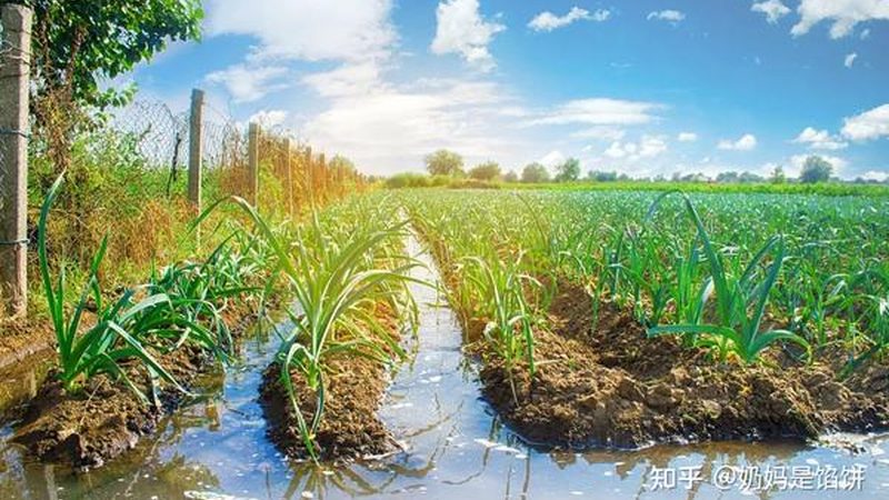 打造家庭式农家乐，设计标准规范知多少？**