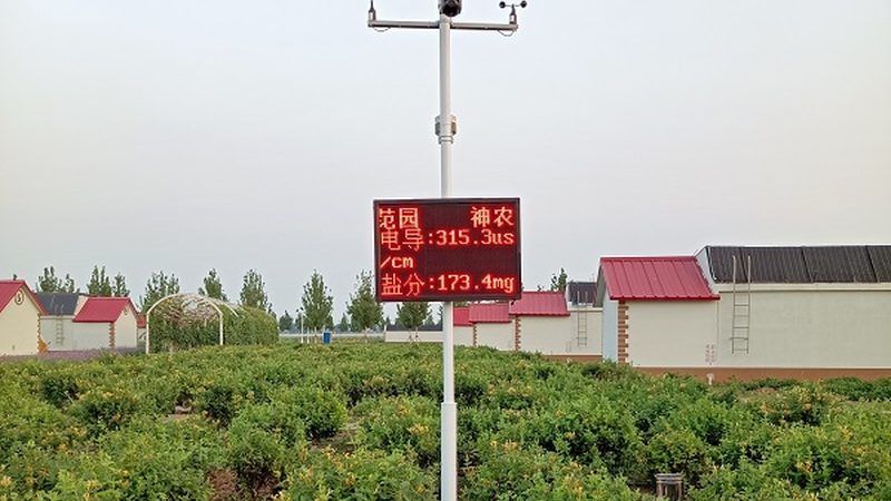 有机粮食种植国家标准：守护绿色餐桌的基石