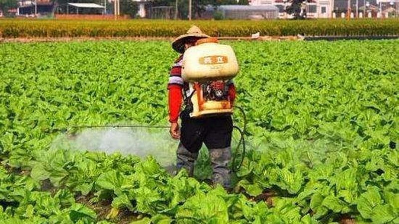 上海生鲜配送的优与劣：揭秘背后的行业逻辑