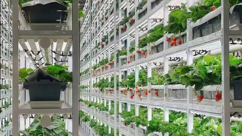 农业种植机械型号对比：如何选择最适合的设备