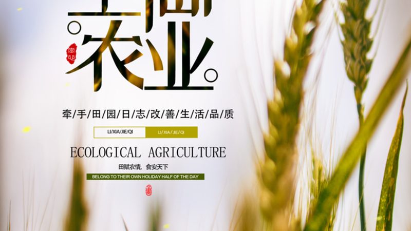 上海食堂食材配送哪家好